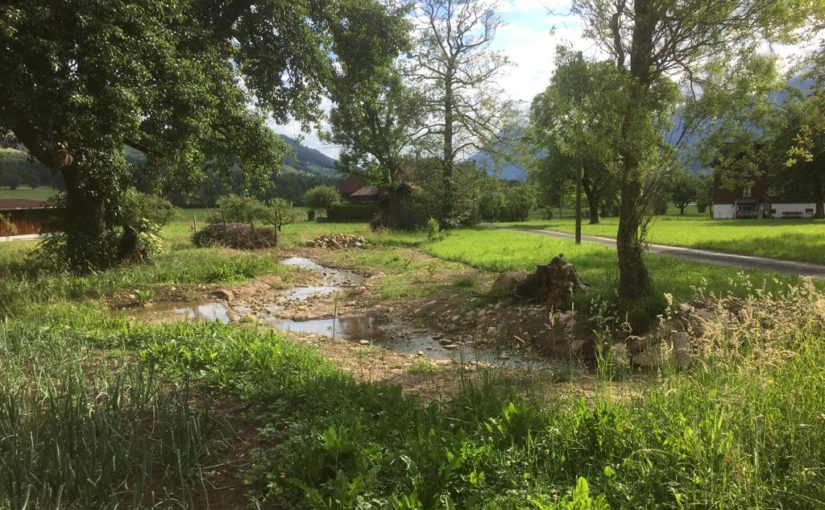 Revitalisierung eines Abschnitts des Tschachenbachs, Spechtsbrenden Giswil