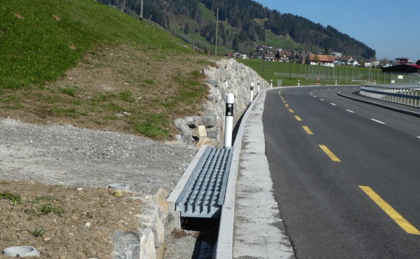 Amphibienschutz entlang Kantonsstrasse Gross – Steinbach, Schwyz